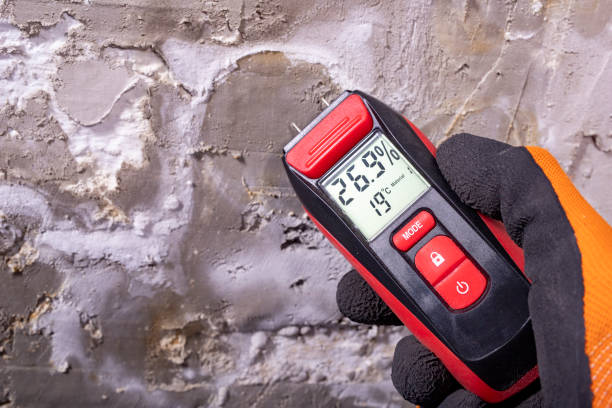 Best Black Mold Removal  in Soperton, GA