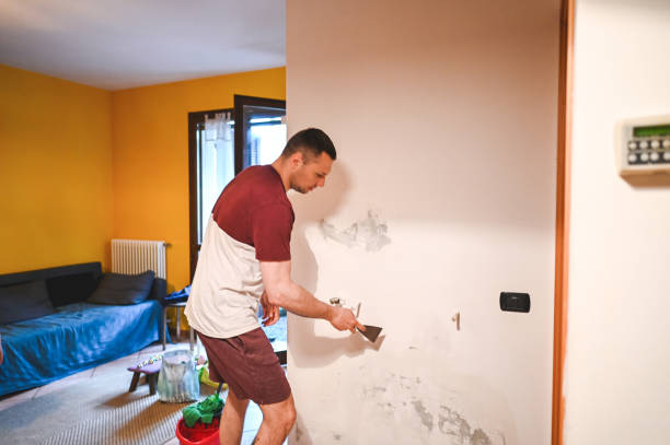 Best Crawl Space Mold Removal  in Soperton, GA
