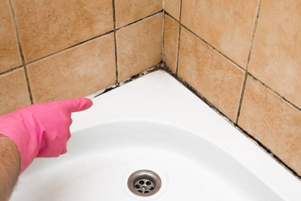 Best Mold Removal and Inspection  in Soperton, GA